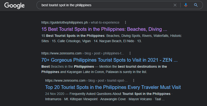 Search Engine Result for "best tourist spot in the Philippines" keyword