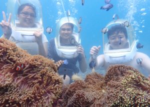 Grow Forward JP, Inc enjoying snorkeling