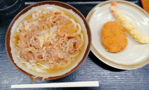 A bowl of Japanese udon and a piece of tonkatsu and tempura